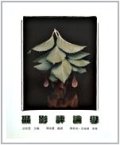 解讀《攝影評論學》