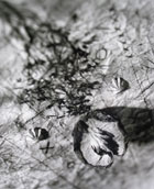 瑣碎-郭秀莉影像個展 瑣碎-郭秀莉影像個展