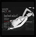 別樣的美景 INDEFINITE BEAUTY