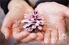 張茵嘉 攝影展 / koko - home sweet home