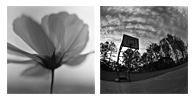 旋 / Wheel