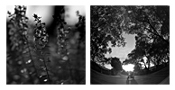 覓 / Search