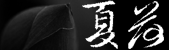 映像咖啡常設展