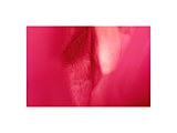 #20：2005