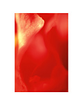 #2：2004