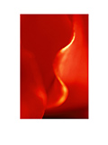 #3：2006