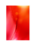 #5：2005