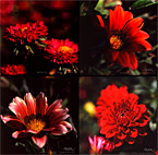 Happy New Year 2011 Happy New Year 2011