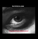 BertStern.com BertStern.com
