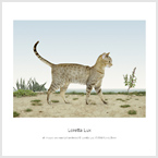 德國攝影家 Loretta Lux