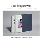 Joel Meyerowitz Joel Meyerowitz