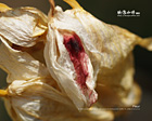 皺折:彩色攝影桌布免費下載 皺折:彩色攝影桌布免費下載