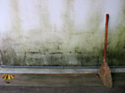 心中之塵 心中之塵