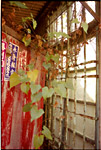 門II 門II