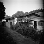 自然 / 元素