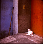 Blanc, Rouge & Bleu
